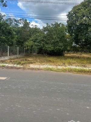 bán đất tại xã xuân hiệp, giá siêu hời 3,3 tỷ vnd, diện tích 1120m2