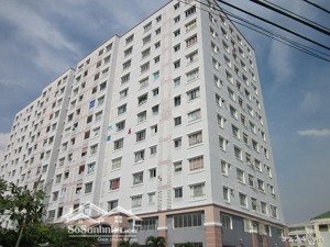 (có sổ hồng) bán căn hộ 2pn kèm nội thất, cc bông sao, p5, q8