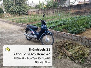 chủ kẹt tiền kinh doanh . bán mảnh đất tại đan tảo ,tân minh,sóc sơn . 500m ra đh điện lực