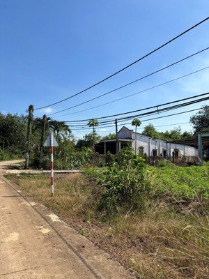 ngộp 550tr cho 1000m2 có thổ cư ngang bám mặt đường 20m, dài 50m pháp lý sẵn