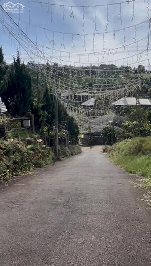 1,2 sào làm Homestay trong hẻm có nhiều Homestay nhất Phường 2, Bảo Lộc