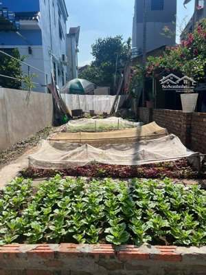 bán đất thổ cư 72m² viên ngoại, đặng xá (gia lâm) giá đầu tư!