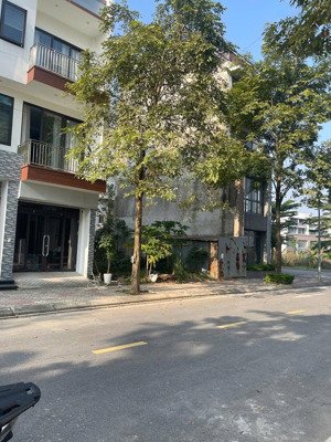 bán 75m² trung tâm tms phúc yên hàng hiếm, chậm tay là mất!