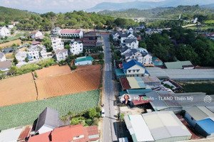 lớn tuổi bán giá tốt đất sổ riêng ngô tất tố gần thung lũng tình yêu p8 đà lạt 613m2 chỉ 16.5 tỷ