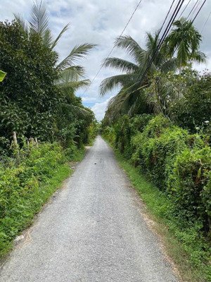 1000m2 đất vườn, cây ăn trái 1 sẹc đường hà duy phiên - bình mỹ - củ chi