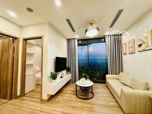 bán căn hộ 58m2 khu onsen khoáng nóng ecopark, full đồ giá tốt