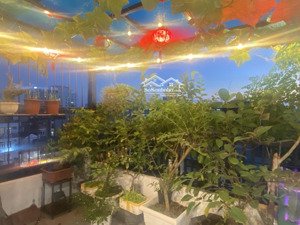 ngọc lâm phố 36m2 6 tầng thang máy, view hồ tai trâu, hồng tiến đón cầu trần hưng đạo, hơn 8 tỷ