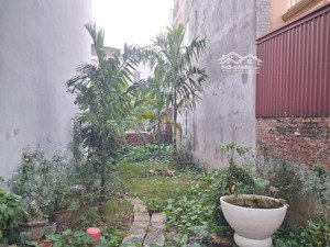 dân đầu tư bơi hết vào đây!
gia lâm hà nội | chưa đến 50 triệu/m | ô tô vào tận đất