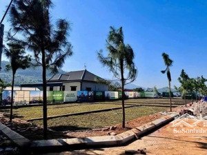 đất đẹp trung tâm phú cát - thổ cư 100% - hạ tầng hoàn chỉnh - giá đầu tư