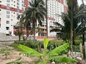 Đất Vĩnh Phú Bình Hoà Giáp Thủ Đức Đường Ô Tô Trước Và Sau DT 1420 Giá 26 Triệu/M2