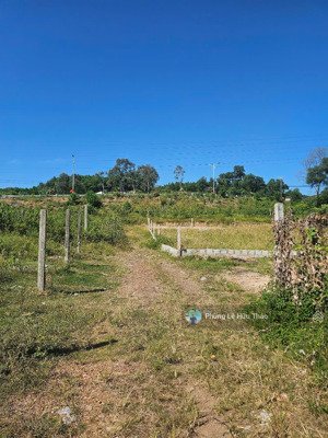 hàng hiếm! 307.6m² đất thủy dương gần chợ gần trường rất phù hợp làm nhà vườn