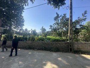 lô đất 1.687m² - có 3 mặt tiền tại mít mái, yên bài, ba vì