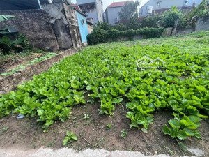 bán đất thôn 1 vạn phúc ngõ thông giá chỉ 2.8 tỷ