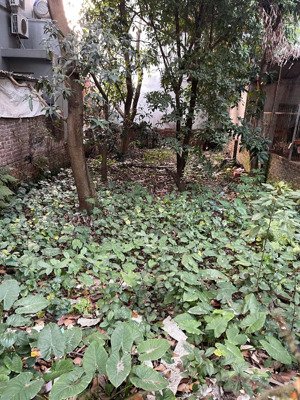 đất tây hồ (an dương vương) 100m 27tỷ mt6,4m, cạnh citputra, oto thông nhiều ngả, sổ nở hậu đẹp