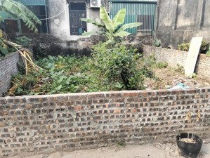 bán đất tại xã vân tảo, thường tín, hà nội giá tốt, 51,5 m2