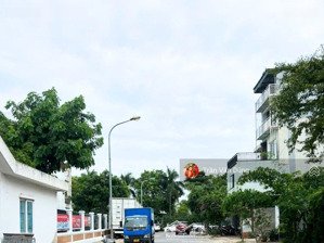 cc bán đất biệt thự khu 31ha trâu quỳ gia lâm 236m2 mt 11.83m vị trí đẹp trung tâm. giá cực tốt