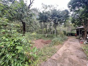 bán đất tại xã mai hạ, mai châu, hòa bình, giá thỏa thuận, 2700m2 có 420m thổ cư ,còn lại đất vườn.