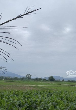 tôi bán lô đất nhỏ view cánh đồng siêu đẹp, dt 1100m2, mặt tiền tới 35m tại khánh thượng, ba vì