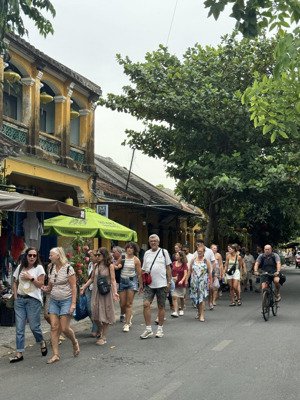 cho thuê nhà góc 2 mặt tiền phan bội châu phố pháp. 120m2, sàn sử dụng 200m2. 100tr/ tháng