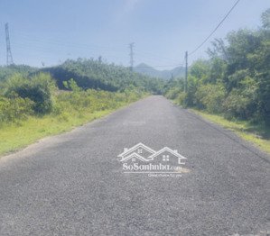 chủ kẹt tiền bán lô đất đẹp hòa ninh dt 94.3m2 mt 6.5m sẵn sổ đỏ giá đầu tư 1,95 tỷ thương lượng