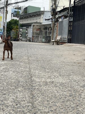 chính chủ gửi bán lô đất diện tích 449m2 ngang 9,3m dài 38m nở hậu 14,4m phường bình trưng đông