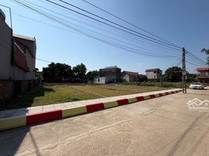 bán đất tại xã tân minh, sóc sơn, hà nội, 2,2 tỷ, 100m2 chỉ với giá cực tốt