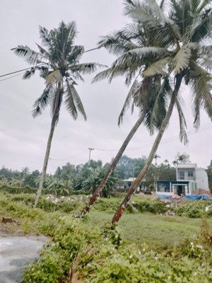 rẻ nhất chỉ 1 tỷ 750 có 273m2 đất hòa sơn, hòa vang, đà nẵng