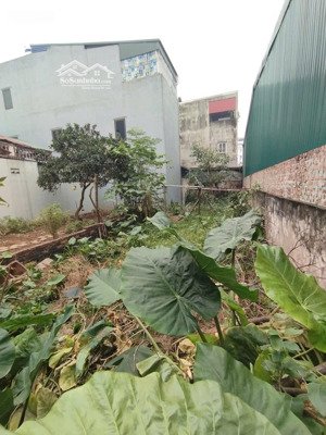 đất phố giang biên, 105m2, ô tô thông, 13.4 tỷ, mt 5m,