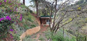 gia đình cần bán lô đất đường khe sanh, đà lạt view đẹp