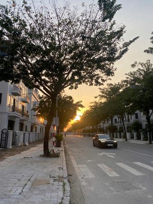 biệt thự hạng sang giá chỉ 195tr/m, diện tích 212m, mặt tiền 8,5m