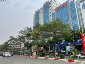 mặt phố trần thái tông, đẹp nhất quận, vỉa hè 5m, cây xanh, kinh doanh sầm uất, 55m mt 4.6m 33 tỷ