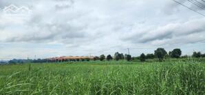 BÁN ĐẤT KHU CÔNG NGHIỆP HẢI SƠN, ĐỨC HÒA, LONG AN 3500m2, 7000m2, 10.500m2, 14.000m2 GIÁ TỐT SỔ SẴN CẦM TAY