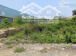 đất hẻm rộng võ văn vân thích hợp xây villa mini