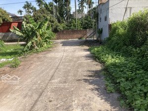 bán đất phân lô đấu giá vạn tín 99m2