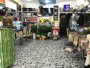 bán gấp trong tuần - bán nhà trần khắc chân 62m² 3 tầng - 30 tỷ