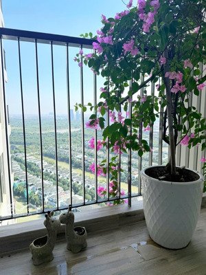 bán cc haven park residences, xuân quan, văn giang, hưng yên, 5,08 tỷ, 68m2 siêu hot view đẹp
