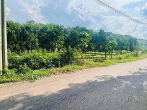 ngộp tiền sang gấp (40x60=2.462m2) đất vườn shr cạnh chợ, ủy ban tphcm, dân cư hiện hữu giá 360 tr