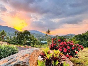 hot! độc quyền lô 278m mt 11m ngõ 8m có view hồ đẹp nhất phú mãn. chốt ngay 3.5 tỷ!