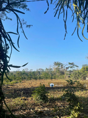 tôi chính chủ cần bán lô đất km44 . dt: 7 x 40 tc : 60m2, cách ql14 , 500m , giá 330tr