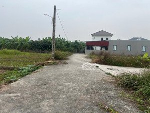 bán đất : bat trang an lão hải phòng