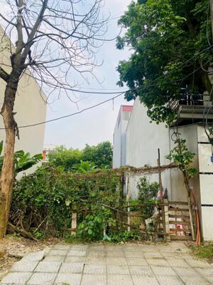 Bán lô C19 Trần Doãn Hựu, Cụm Kinh Tế, Đồng Tâm.