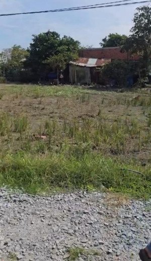 cần bán đất nhơn hoà 2 đức hoà thượng sau uỷ ban, dân đông, sổ hồng, 680 triệu/ nền.