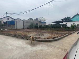 bán đất 110m2 tại minh phú, sóc sơn, hà nội, giá cực chất 28 triệu vnd/m2