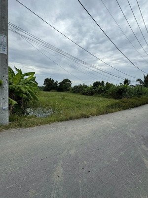 bán đất xã hưng long bình chánh - 2000m2 - 7.5 tỷ 