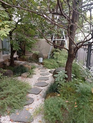 cho thuê biệt thự đẹp tại mailand hanoi city, 29 triệu, 210m2, 5pn, 4wc lh 