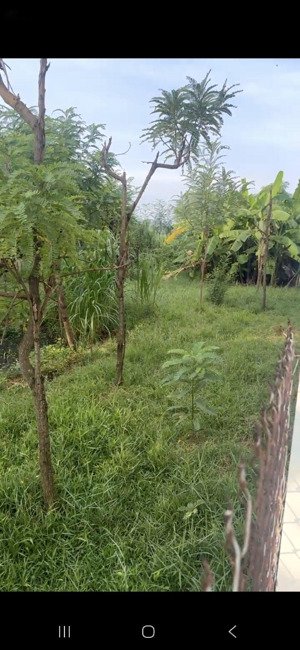 em chính chủ bán đất full thổ cư tại ấp giồng ông lãnh 1, xã tăng hòa, huyện gò công đông, tỉnh tg