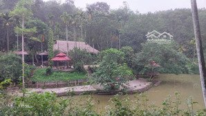 bán khu nghỉ dưỡng 6000m2 có hồ gần sân golf hiltop của geleximco chỉ 10 tỷ sẵn nhà và khuôn viên