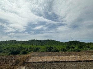 699 triệu/mẫu sát kcn dược liệu ninh sơn, kcn dốc đá trắng tx ninh hoà, khánh hoà