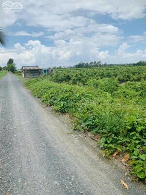 Bán đất mặt tiền Võ Văn Kiệt ( Kênh 9 ) LMX, Bình Chánh