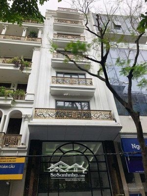 chính chủ cho thuê nhà mới nguyễn huy tưởng - nguyễn tuân, 85m x 5t, mt 6m thông sàn thang máy 37tr